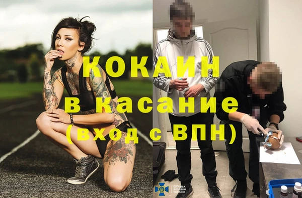крисы Покров