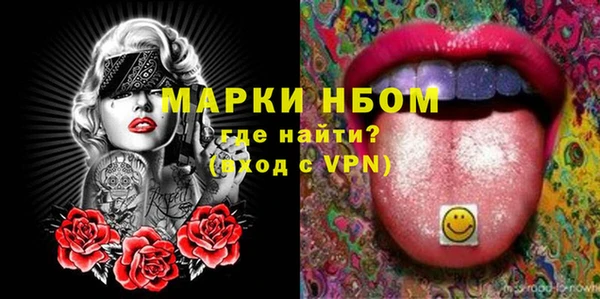 шишки Чегем