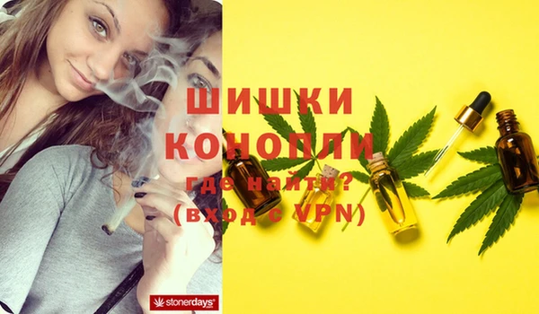 MESCALINE Покачи