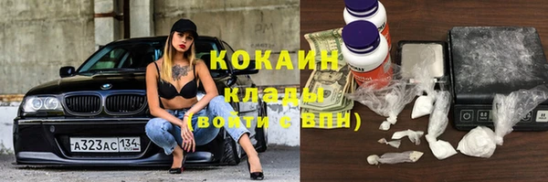 крисы Покров