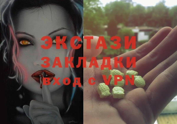 шишки Чегем